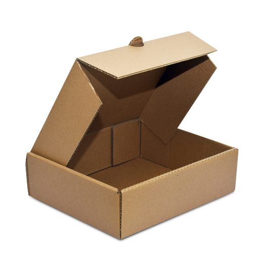 Cajas de cartón en Pachuca - Cardboard boxes and cardboard packaging