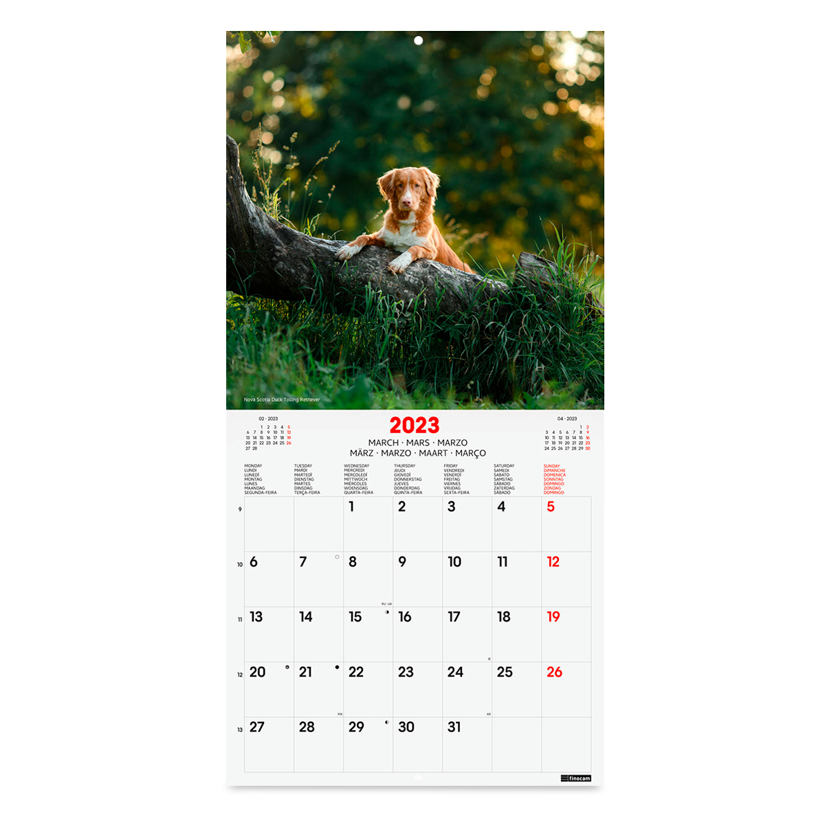 CALENDARIO PARED 23 30X30 DOGS | Office Depot Mexico