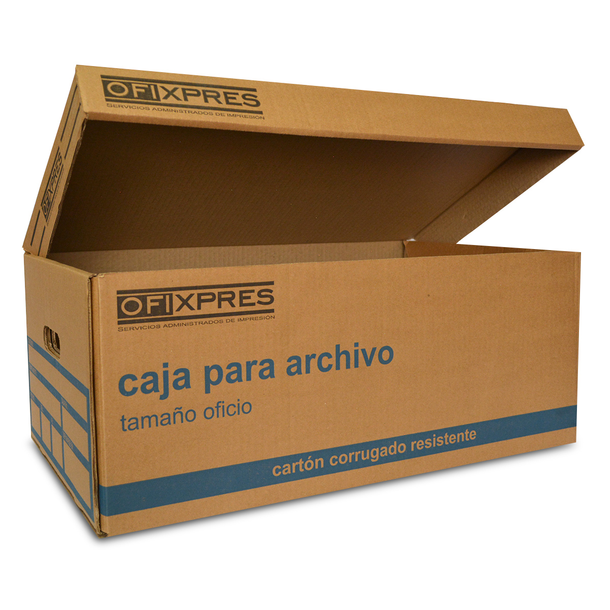 Caja de Plástico para Archivo con Llave Oficio Sablón Organifile Negro