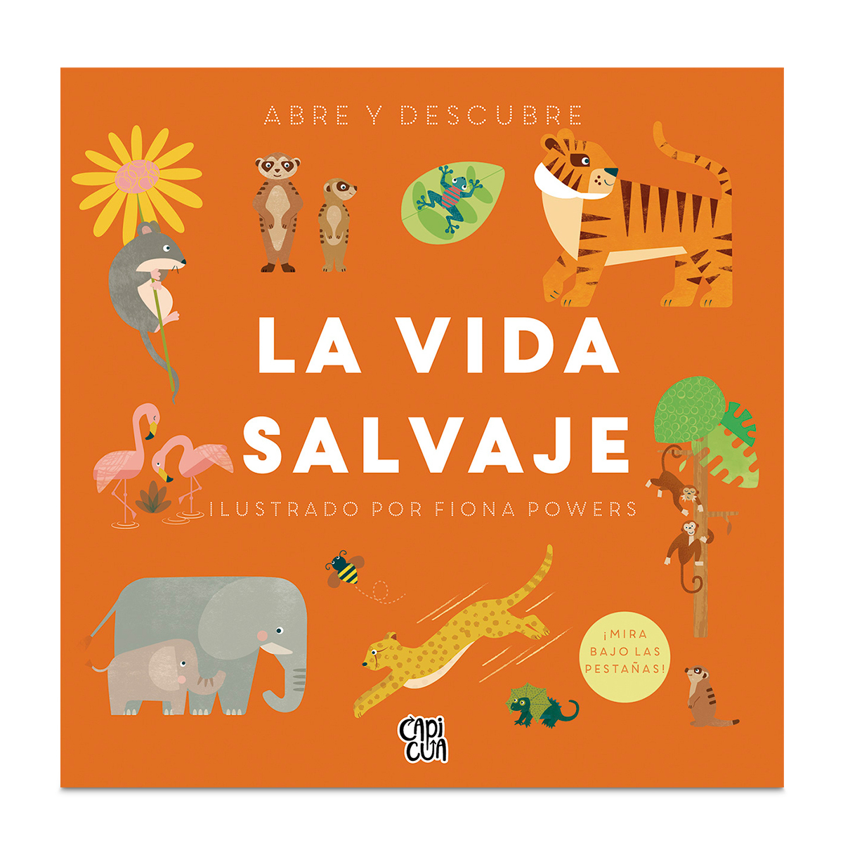 Libro Infantil VYR Editoras Abre y Descubre La Vida Salvaje 