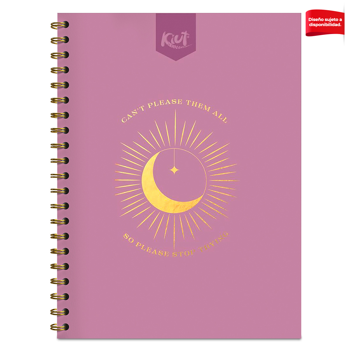 Cuaderno Profesional Norma Kiut Cuadro Grande 160 hojas