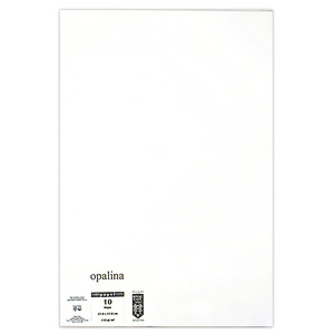 Papel Texturizado Opalina Pochteca Lineal 50 hojas Carta Blanco 180 gr | Office  Depot Mexico