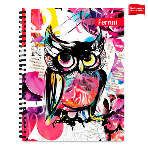 Cuaderno Profesional Ferrini Raya Modelos 100 hojas