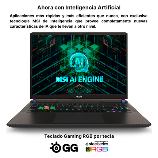 Laptop Gamer MSI Vector 16 HX A13VHG 485MX Intel Core i9 16 pulg. 1tb SSD 16gb RAM Gris 