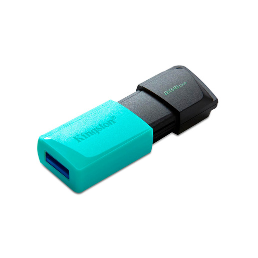 Memoria USB Kingston DTXM 256gb Azul Neón