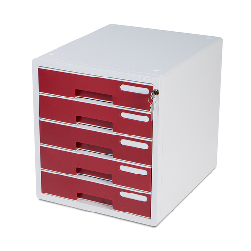 Organizador con Cerradura AG Box 5 cajones Colores