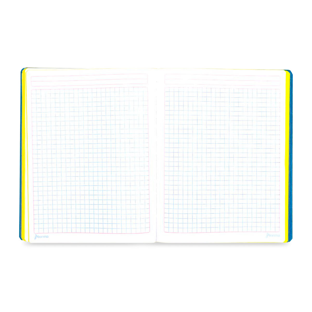 Cuaderno Profesional Norma Color 360 Cuadro grande 100 hojas | Office Depot  Mexico